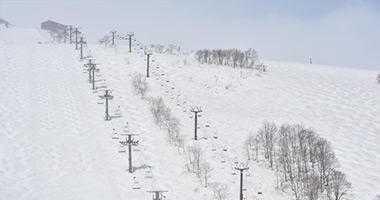 Groomed Runs