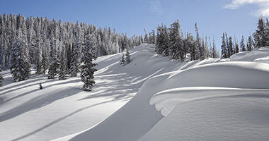 Picture Perfect Terrain