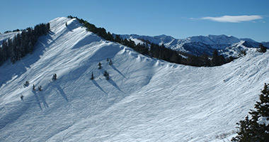 Fresh Powder Aplenty