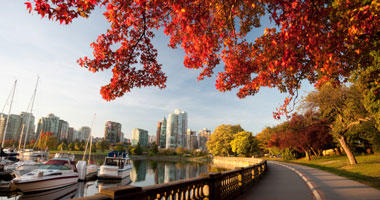Fall Foliage