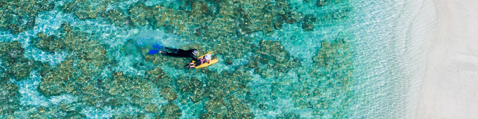 lady elliot island by ben di