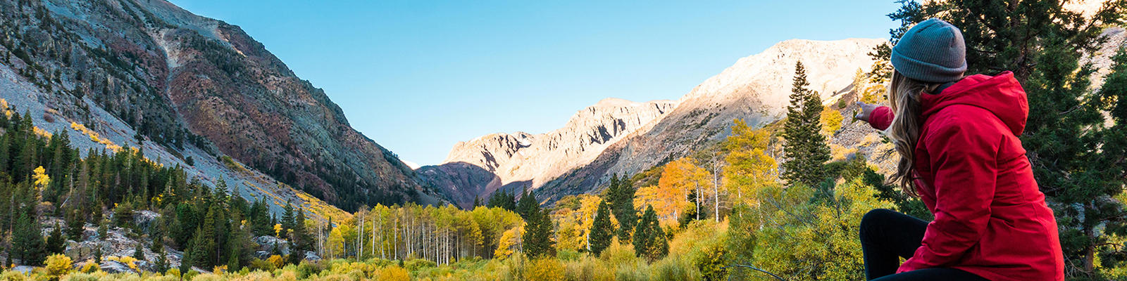 Fall foliage in Lundy Canyon, Mammoth Lakes