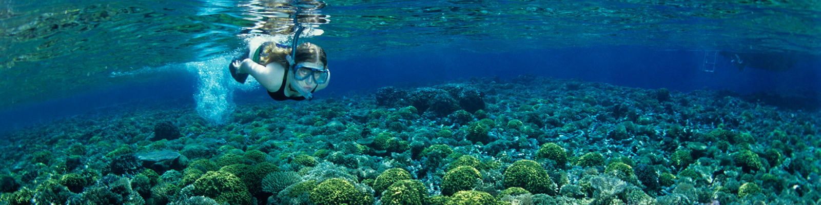 Snorkelling in Papua New Guinea