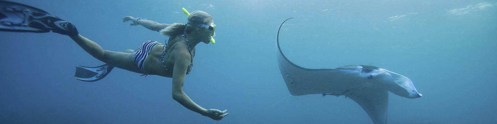 swimming with manta rays in fiji