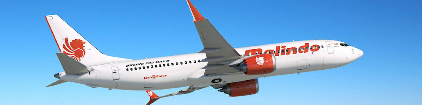 Malindo Air plane in sky.