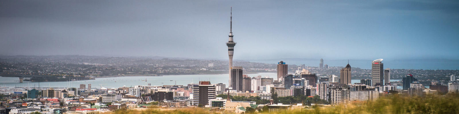 Auckland skyline