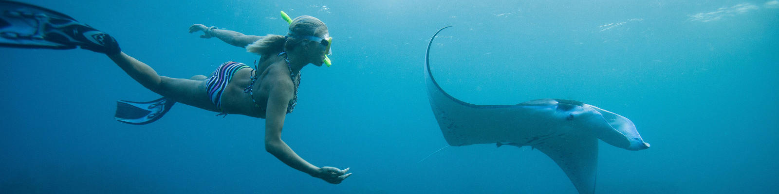 woman swimming with manta ray