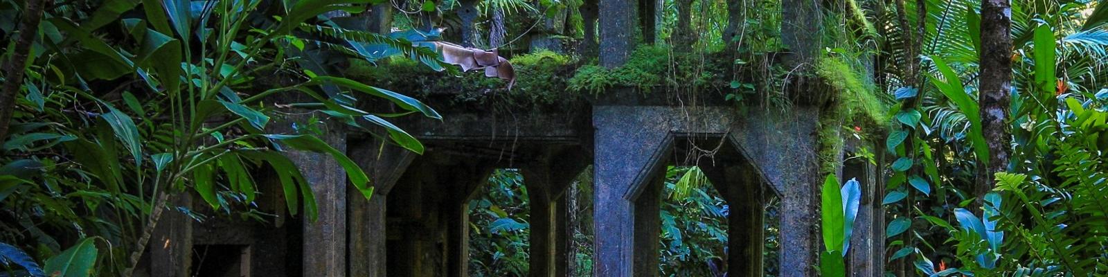 Overgrown ruins in rainforest setting of Paronella Park, Queensand.