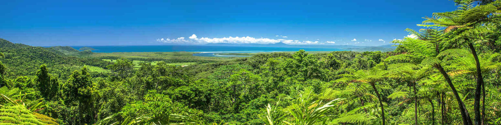 A view of the Great Barrier Reef over the treetops of the Daintree Rainforest in Tropical North Queensland.