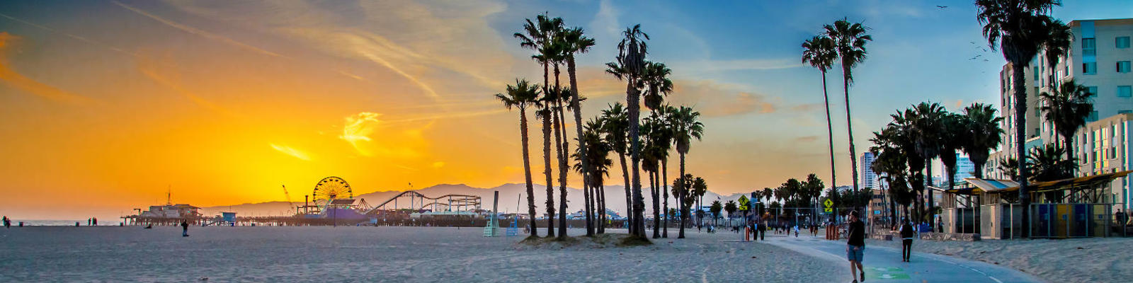 LA's Venice Beach, with Santa Monica Pier in the distance.