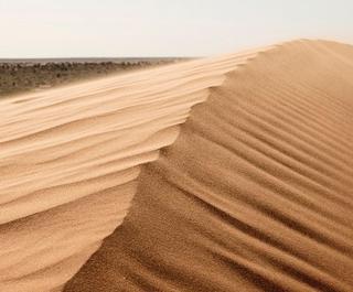 Simpson Desert. Image: Tourism and Events Queensland.