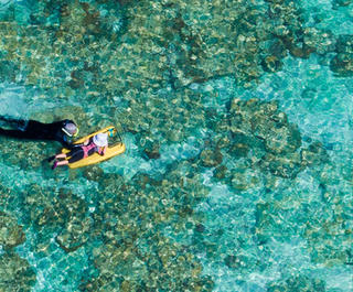 lady elliot island by ben di