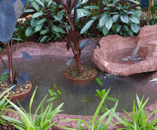 A garden pond.