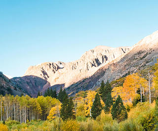 Fall foliage in Lundy Canyon, Mammoth Lakes