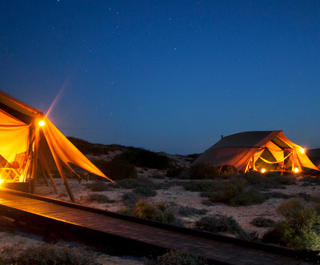 Luxury tents lit up under the starry night sky