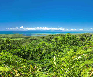 A view of the Great Barrier Reef over the treetops of the Daintree Rainforest in Tropical North Queensland.