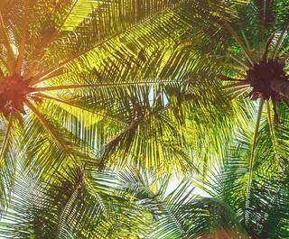 Things to do in Hawaii