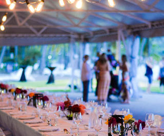 The Bougainvillea Marquee on Hamilton Island.