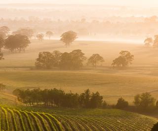 New South Wales wine country. Photo: Getty Images.