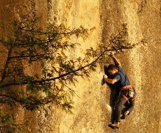 rock climber featured in movie