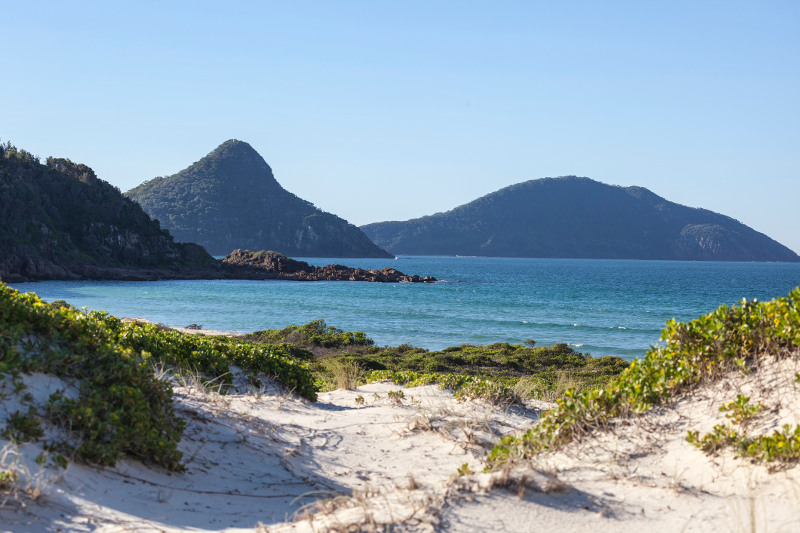 Plant-covered dunes reach down to the sea with forested hills in the background at Port Stephens, New South Wales.