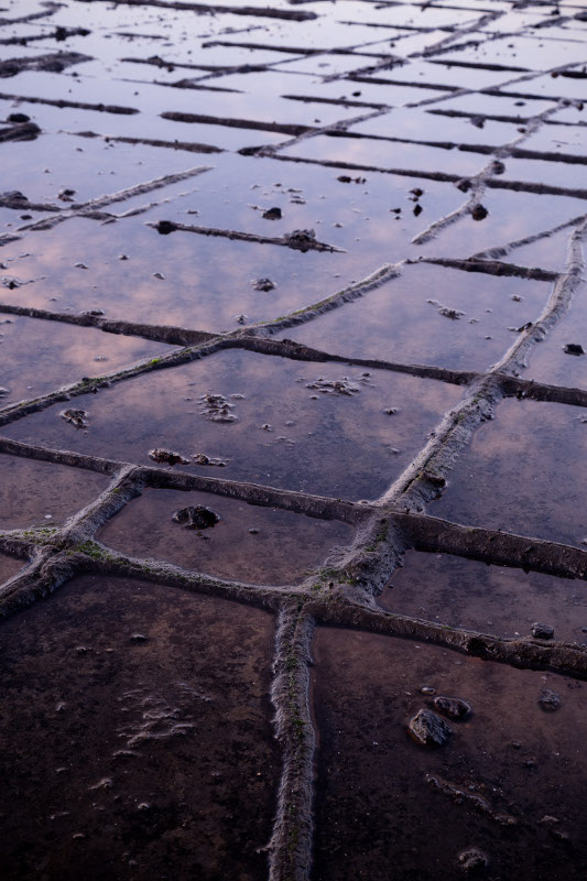 tessellated pavement tasmania sky reflection