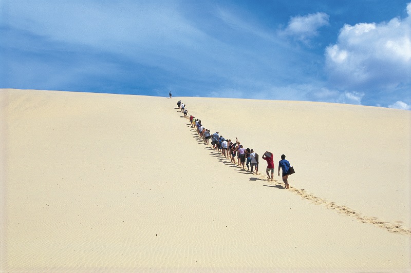 The climb to the top is well worth the giant toboggan ride down. Image: Tourism and Events Queensland.