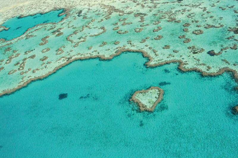 Heart Reef, Whitsundays, Great Barrier Reef, Queensland