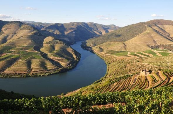 The stunning landscape along Portugal's Douro River.