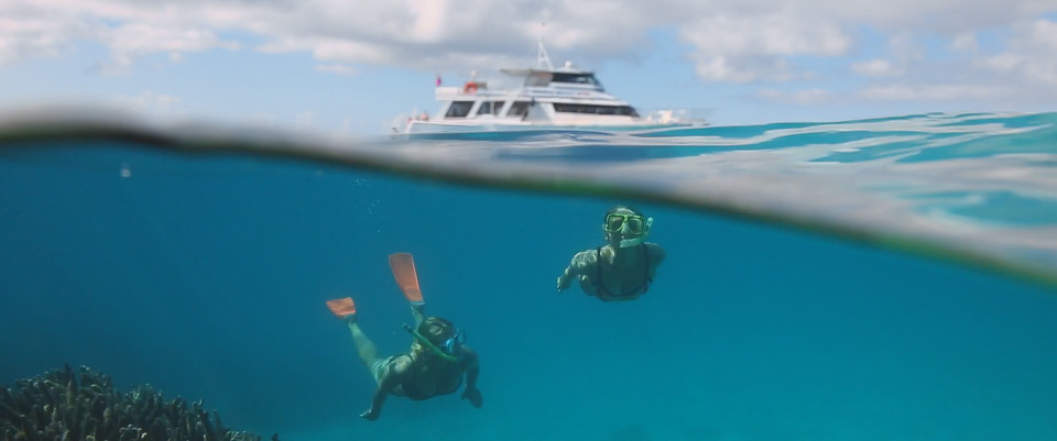 scuba diving great barrier reefqueensland