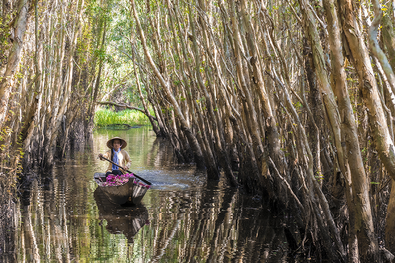 woman rows boat through mekong delta canal