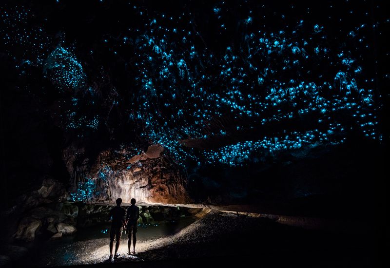 Waitomo Glow Worm Caves in New Zealand